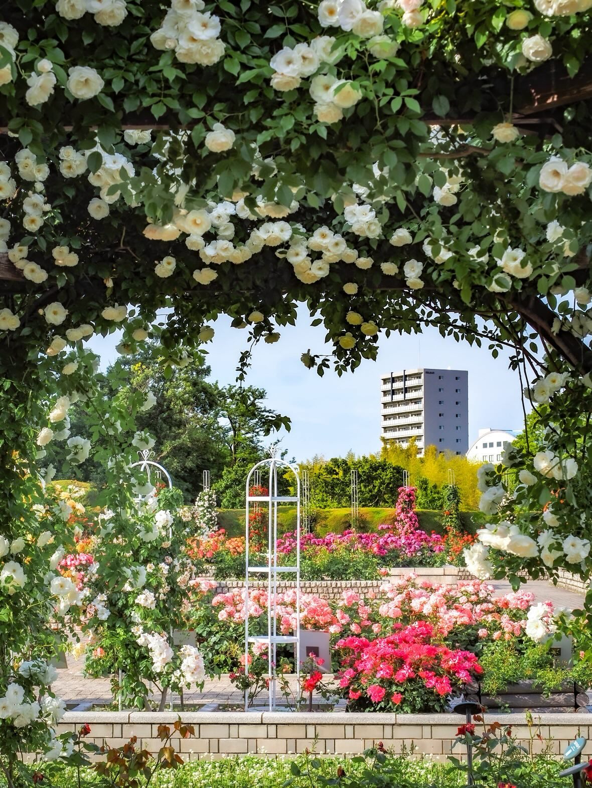 長居公園 春のフォトコンテスト2026」 結果発表！