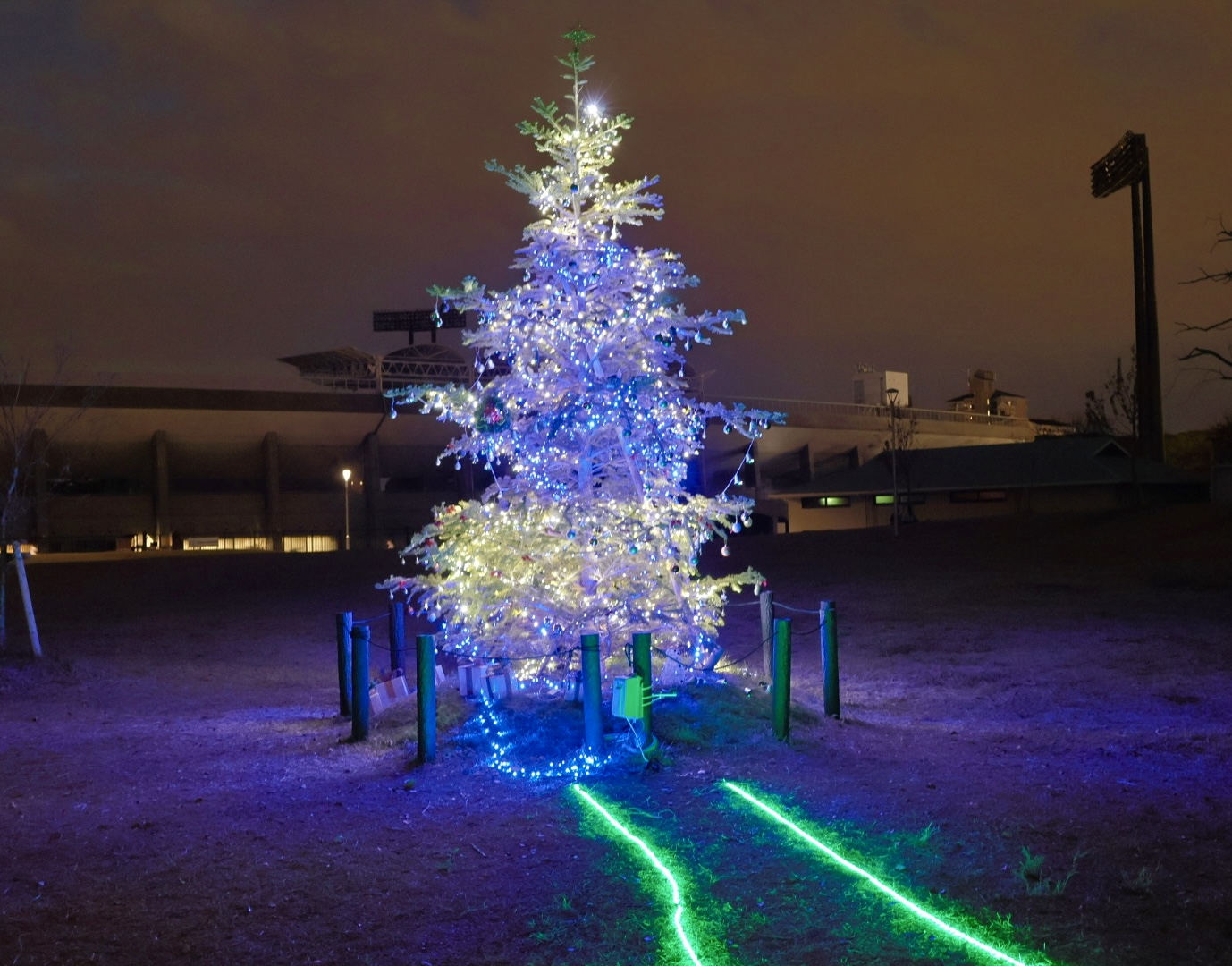 クリスマスツリー点灯のお知らせ